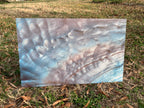PatternPly® Full Coverage Mother of Pearl sheet showing the pattern