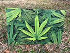 PatternPly® Full Coverage Marijuana Leaves sheet showing the pattern