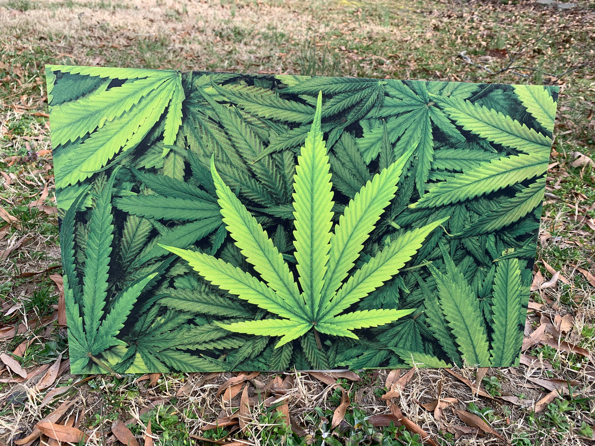 PatternPly® Full Coverage Marijuana Leaves sheet showing the pattern