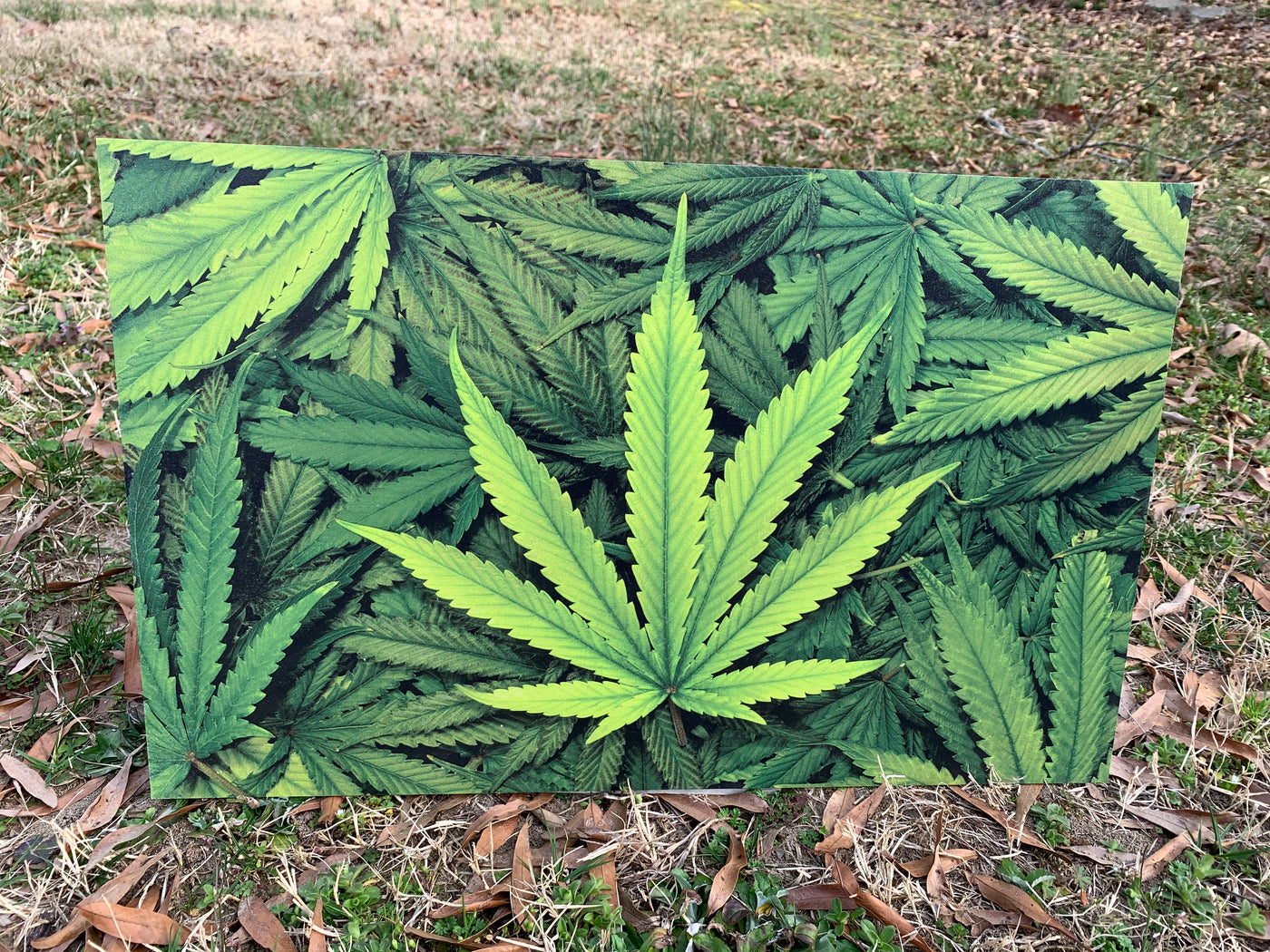 PatternPly® Marijuana Leaves