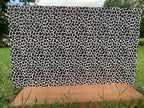 PatternPly® Full Coverage Black, White, and Brown Leopard product photo 4